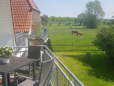 Holiday apartment View of the Bodden - Outdoor photo 4