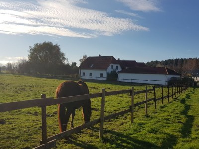 Holiday apartment View of the Bodden - Outdoor photo 8