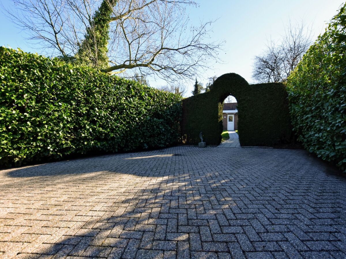 Holiday house Hütte bei Veluwe am Waldpark - Outdoor photo 5