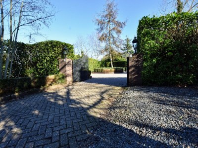 Holiday house Hütte bei Veluwe am Waldpark - Outdoor photo 6