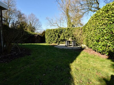 Holiday house Hütte bei Veluwe am Waldpark - Outdoor photo 9