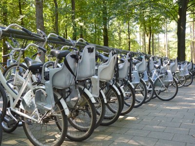 Holiday house Hütte bei Veluwe am Waldpark - Environment photo 29