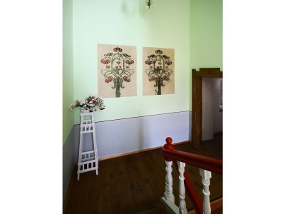 Villa Ursula - Features photo 22