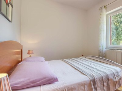 Villa Kristina with pool near Pula - Features photo 26