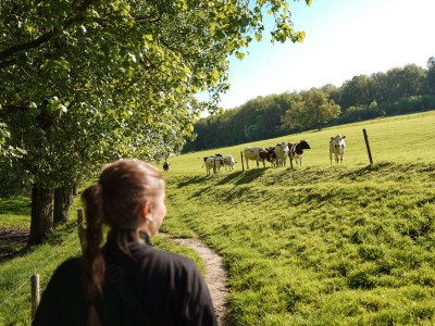 Villa Villa Schweiberg - Environment photo 23