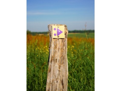 Holiday apartment De Poel - Environment photo 19