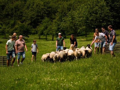 Holiday apartment De Poel - Environment photo 20