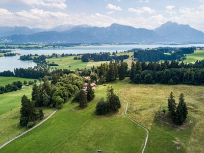 Holiday apartment Villa im Wald - Environment photo 15