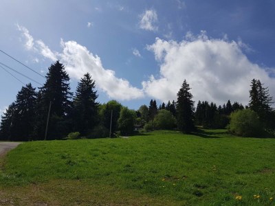 Holiday apartment Villa im Wald - Environment photo 16