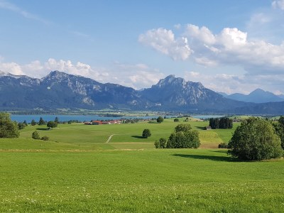 Holiday apartment Villa im Wald - Environment photo 17