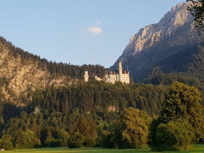 Holiday apartment Villa im Wald - Environment photo 18