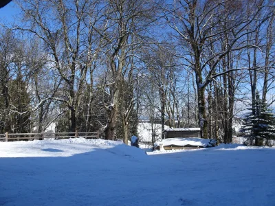 Holiday apartment Villa im Wald - Environment photo 20