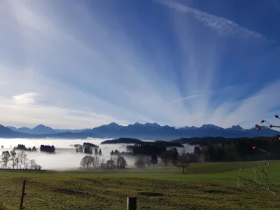 Holiday apartment Villa im Wald - Environment photo 22