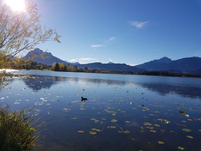 Holiday apartment Villa im Wald - Environment photo 24