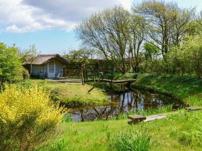 Holiday house The Owl - Outdoor photo 5