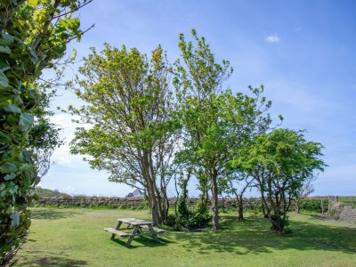Holiday house Landgoed Het Eikenbossie - Outdoor photo 9