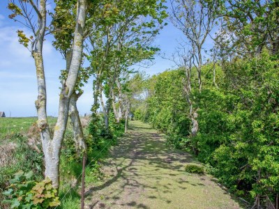 Holiday house Landgoed Het Eikenbossie - Outdoor photo 10