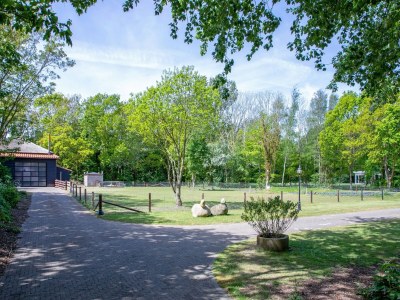 Holiday house Landgoed Het Eikenbossie - Outdoor photo 14