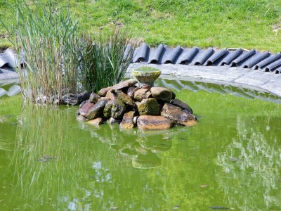 Holiday house Landgoed Het Eikenbossie - Outdoor photo 16