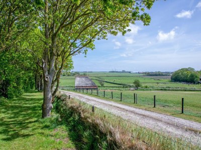 Holiday house Landgoed Het Eikenbossie - Environment photo 35