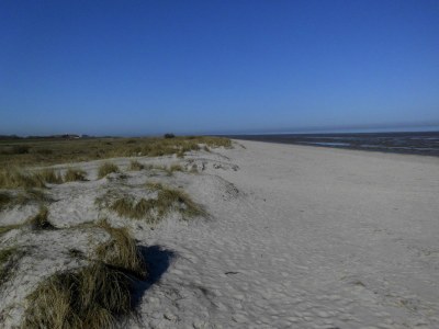 Holiday house de Buhr 1 - Environment photo 14