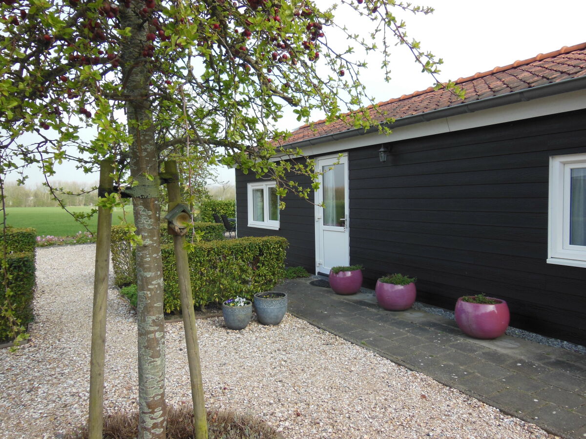 Holiday apartment Schelphoekje - Outdoor photo 2