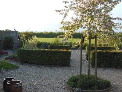 Holiday apartment Schelphoekje - Outdoor photo 6