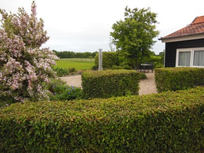 Holiday apartment Schelphoekje - Outdoor photo 7