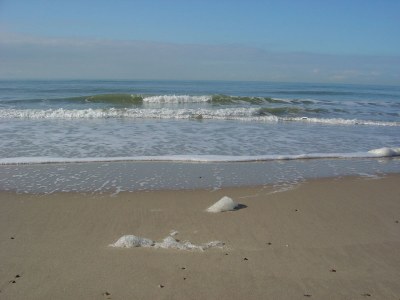 Holiday apartment Schelphoekje - Environment photo 18