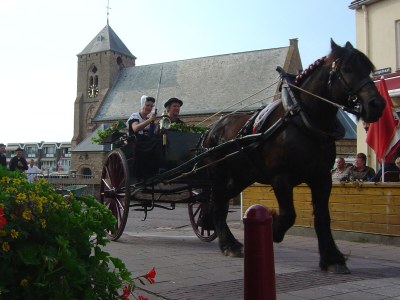 Holiday apartment Schelphoekje - Environment photo 20