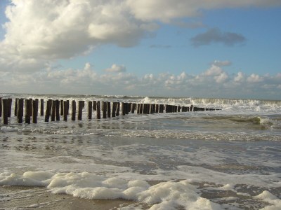 Holiday apartment Schelphoekje - Environment photo 23