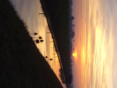 Holiday apartment Schelphoekje - Environment photo 24