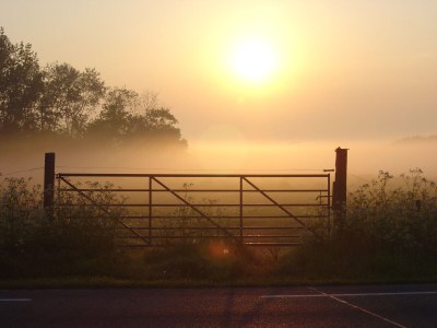 Holiday apartment Schelphoekje - Environment photo 25