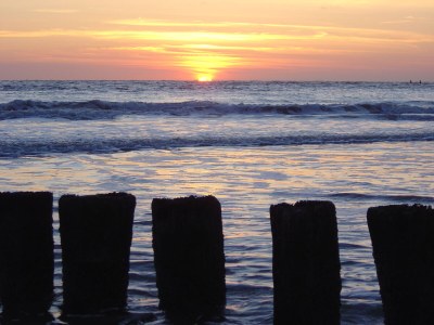 Holiday apartment Schelphoekje - Environment photo 26