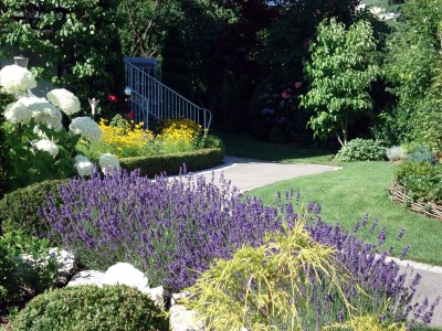 Holiday apartment Stoxreiter - Outdoor photo 4