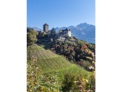 Apartment - No title - - Environment photo 21