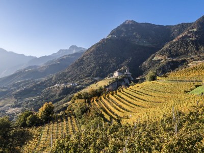 Apartment - No title - - Environment photo 26