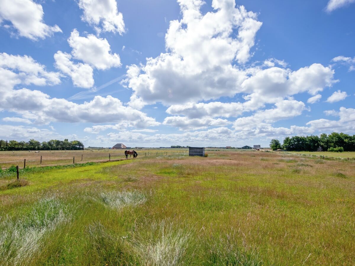 Holiday house 't Huussie - Outdoor photo 5