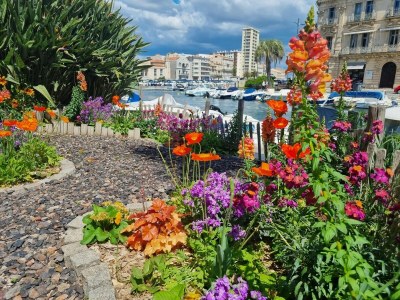 Villa Villa in Castelnau d'Aude mit Pool - Environment photo 35