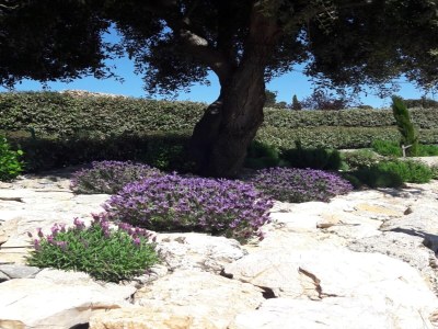 Villa Luxusvilla mit privatem Pool in Cesseras - Environment photo 33