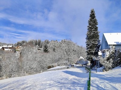 Holiday house Eulenhorst - Outdoor photo 13