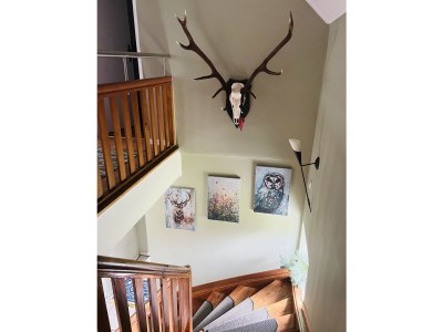 Holiday house Eulenhorst - Features photo 27