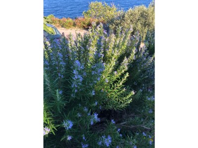 Holiday apartment House Tomica - Environment photo 26