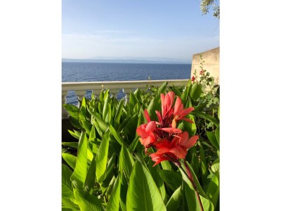 Holiday apartment House Tomica - Environment photo 29