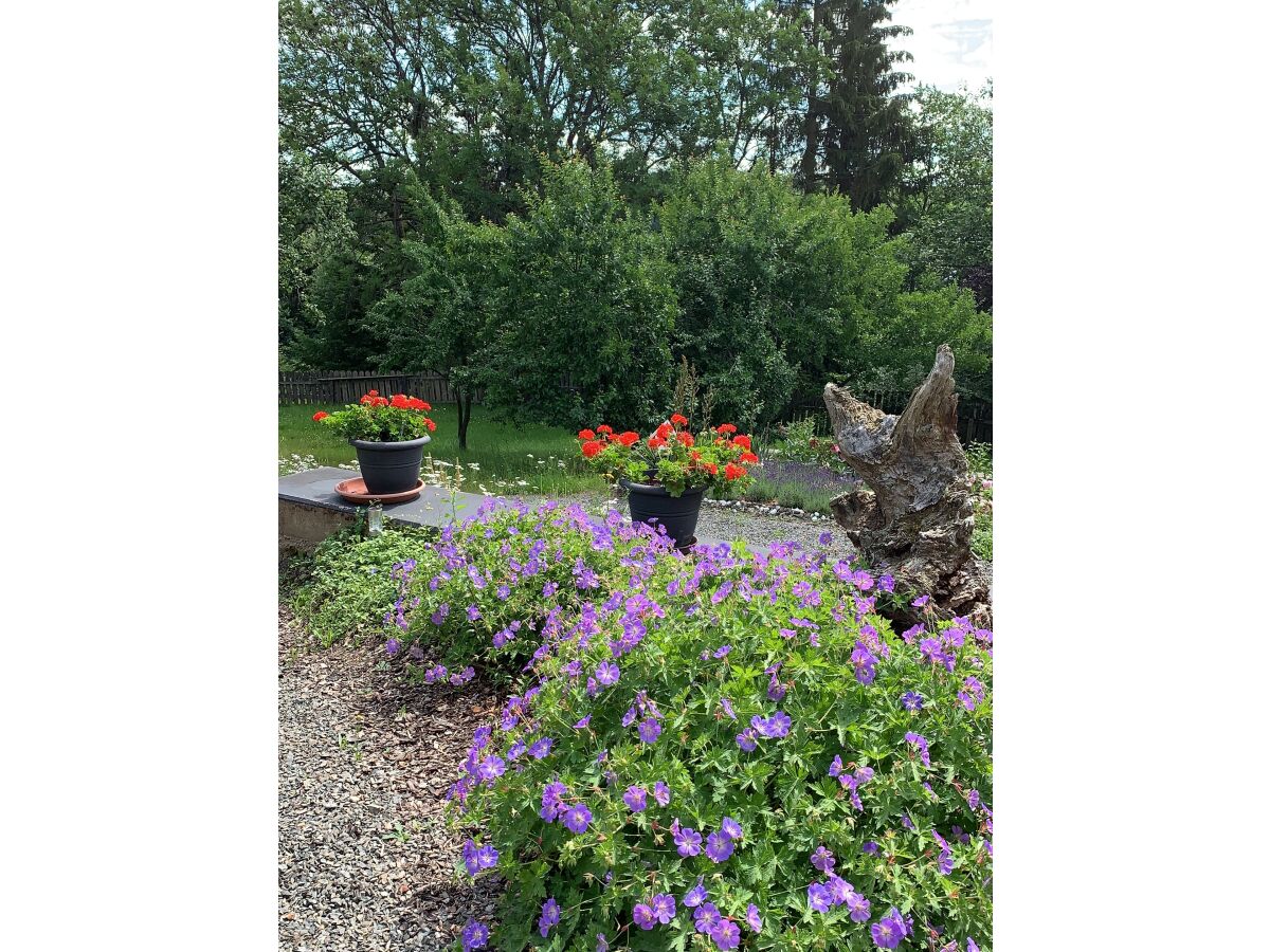 Villa Waldhaus - Outdoor photo 3