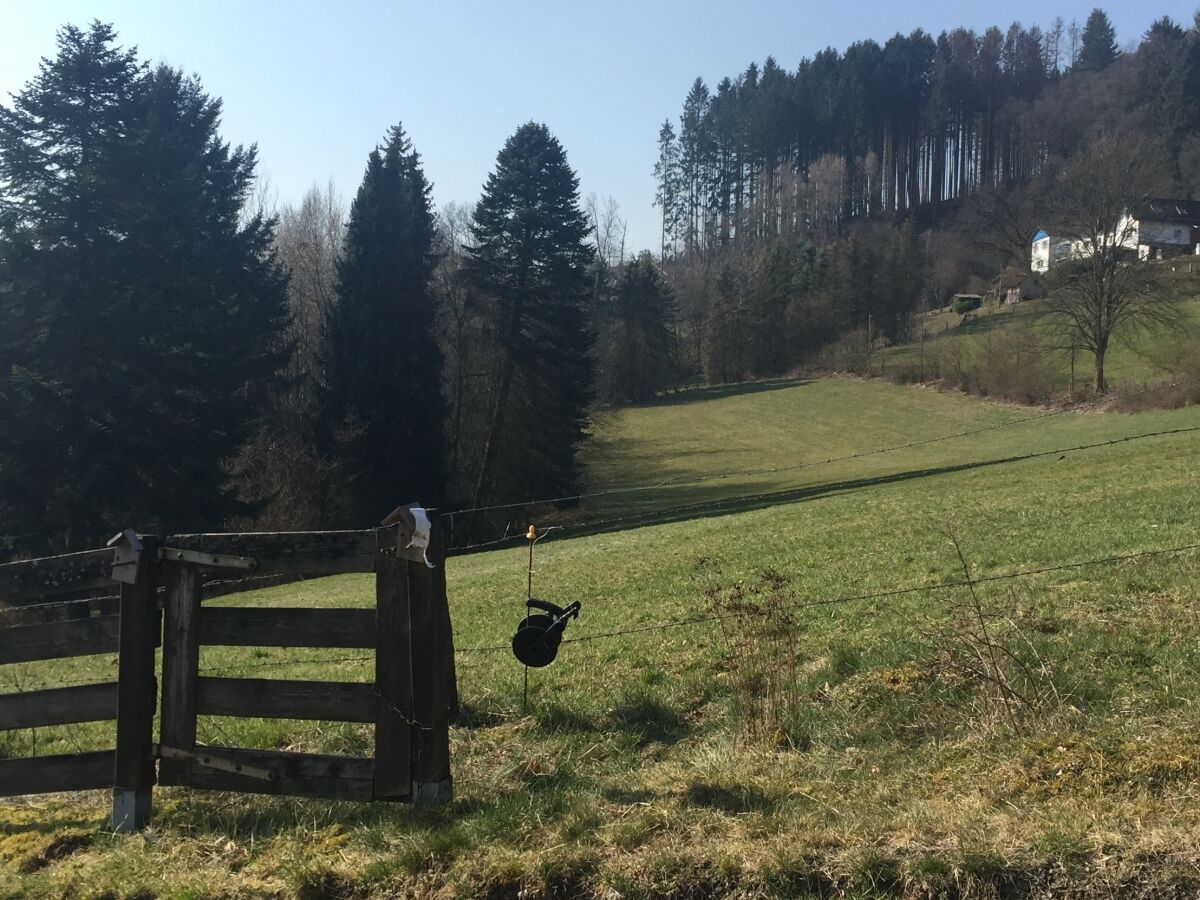 Villa Waldhaus - Outdoor photo 4