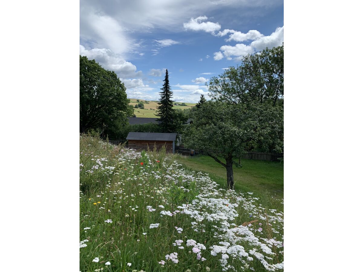 Villa Waldhaus - Outdoor photo 5