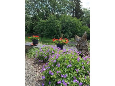 Villa Waldhaus - Outdoor photo 3