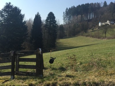 Villa Waldhaus - Outdoor photo 4