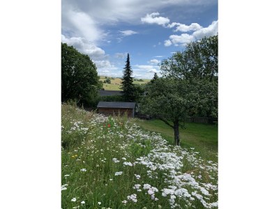 Villa Waldhaus - Outdoor photo 5